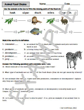 year 9 predator-prey worksheet pdf