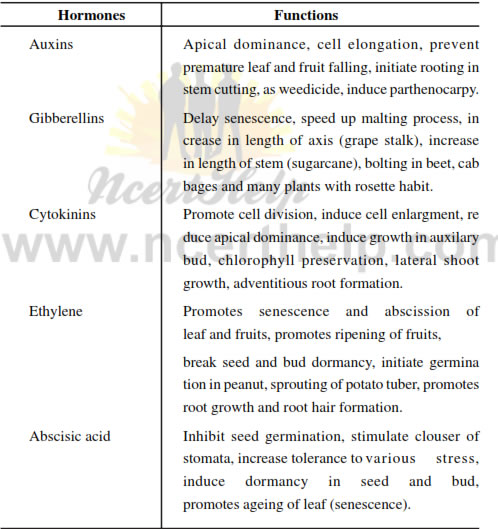 phytohormones and their functions pdf