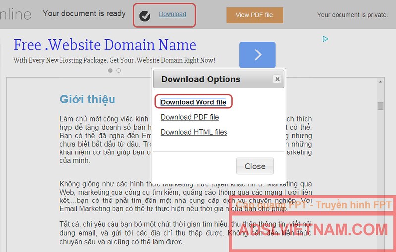 convert pdf to word with hindi font online