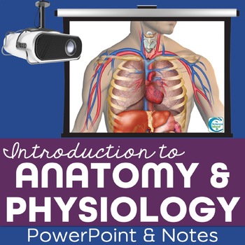 introduction to anatomy and physiology pdf